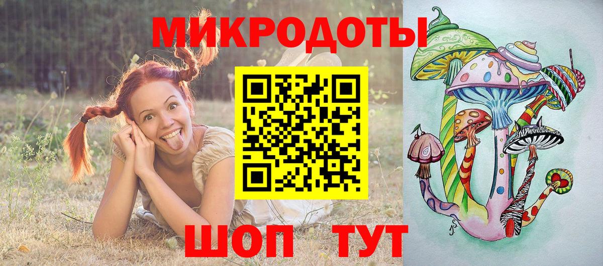 Кингисепп  Псилоцибиновые грибы Psilocybe  Вход с VPN 