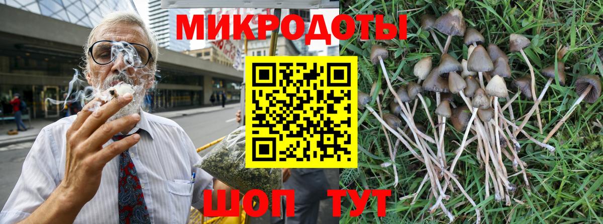 Псилоцибиновые грибы GOLDEN TEACHER Кингисепп